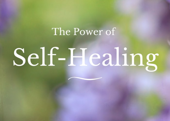 Packwaukee Public Library SelfHealing