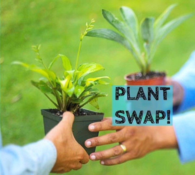 Plant Swap