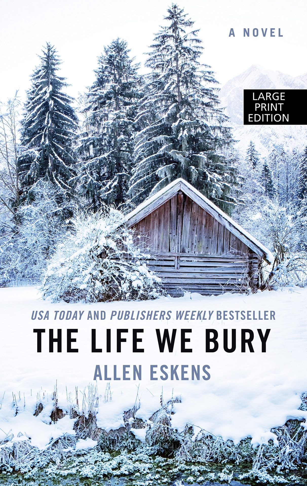 Book Club - The Life We Bury