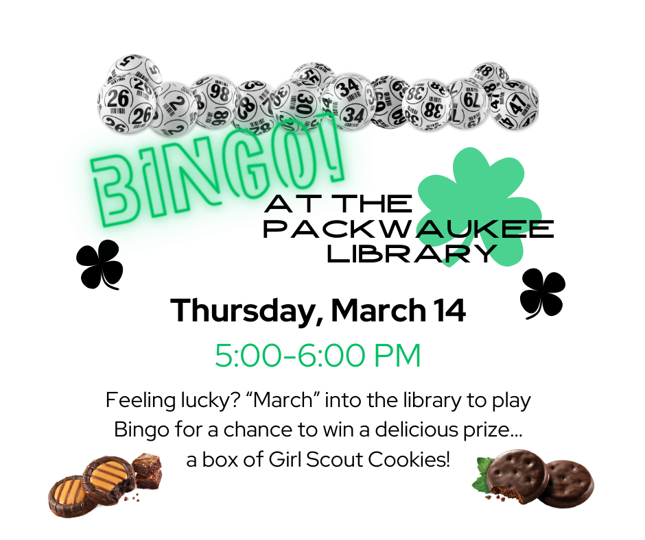 Bingo at the Library