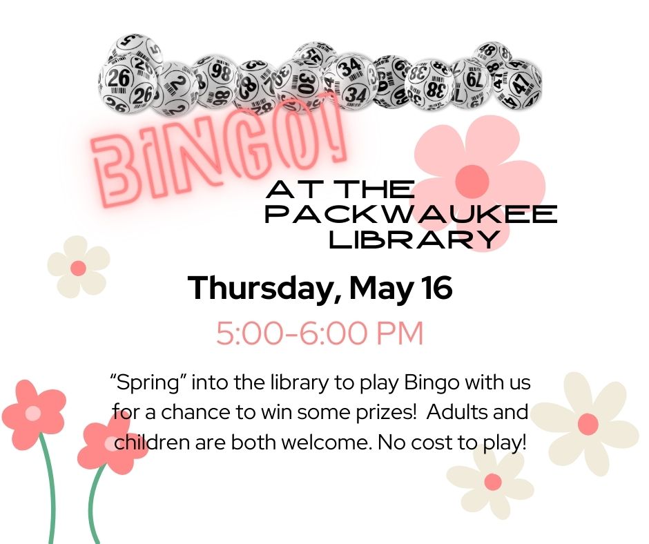 Bingo at the Library