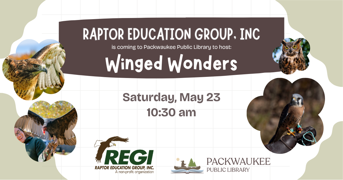 Winged Wonders with REGI